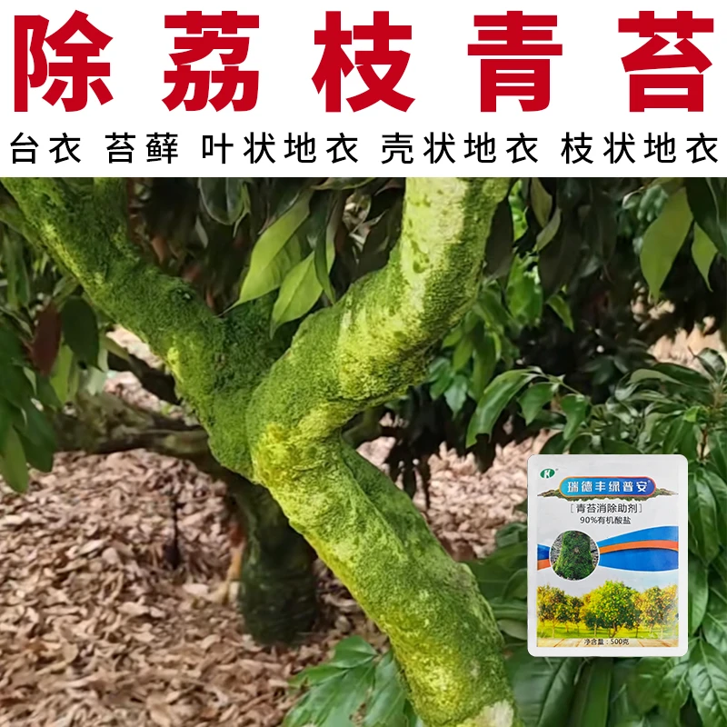 荔枝青苔消除助剂青苔去除助剂不伤花芽柑橘书茶树火龙果青苔净