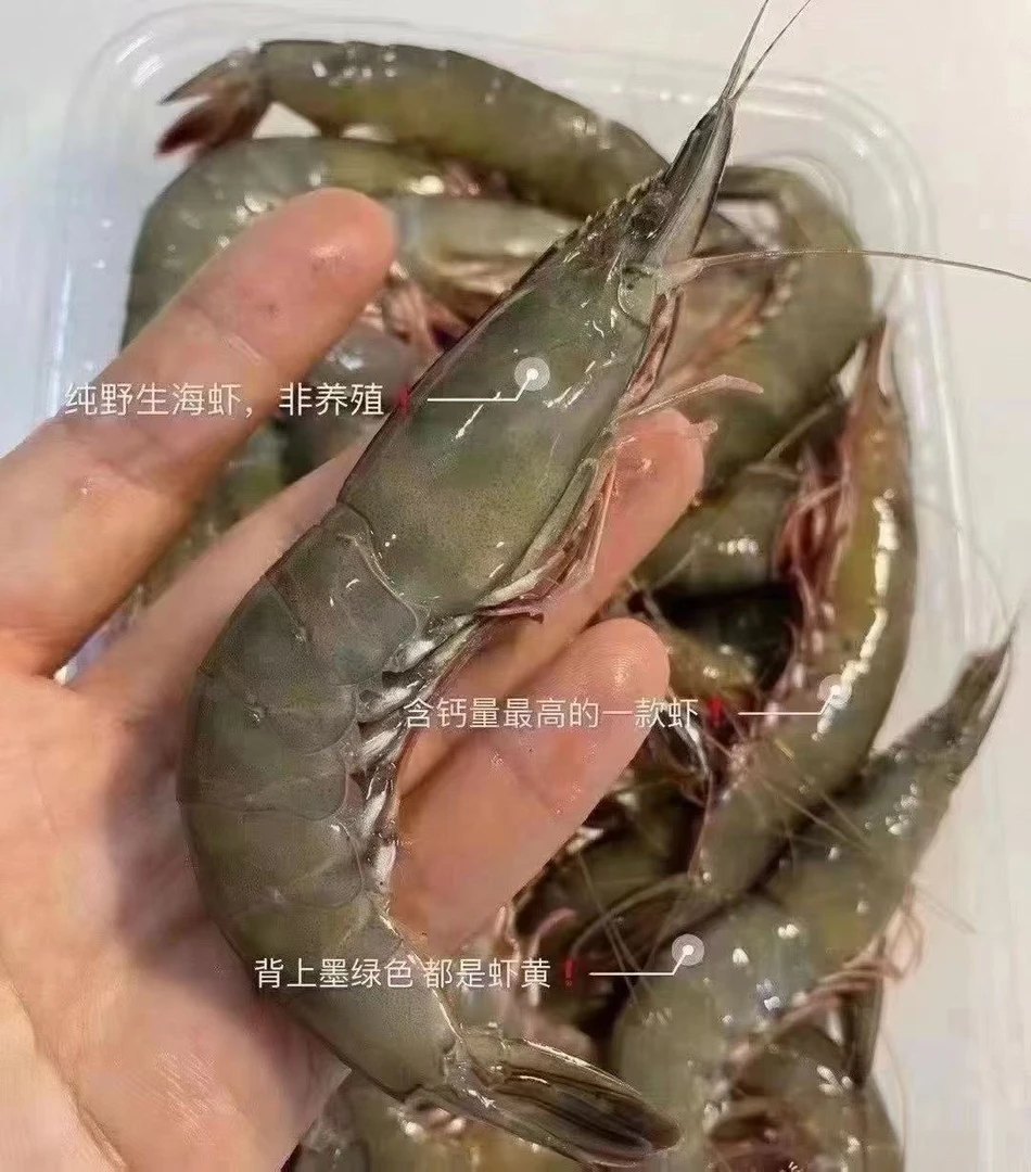 纯野生海捕金钩虾、滑皮虾！