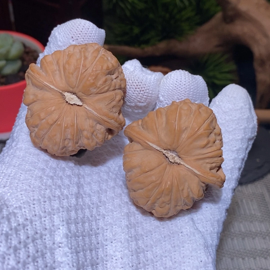 42尺 全品无修白茬 南瓜墩