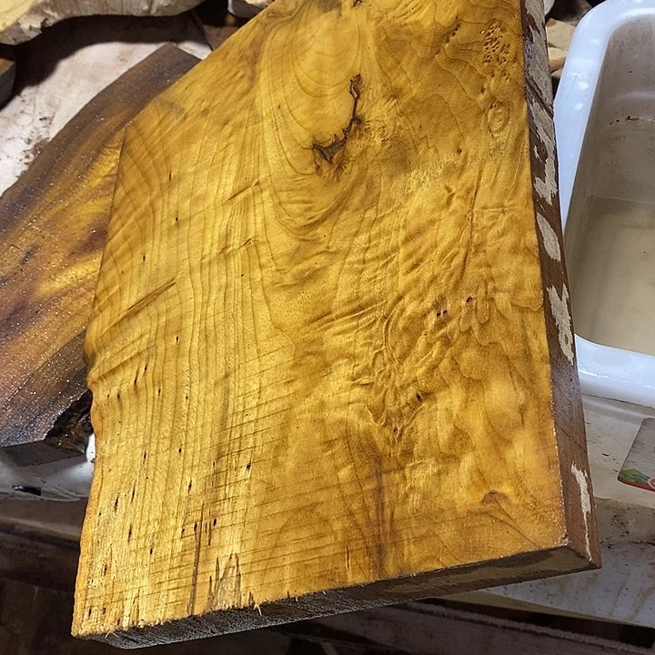 金丝楠木小叶楠木