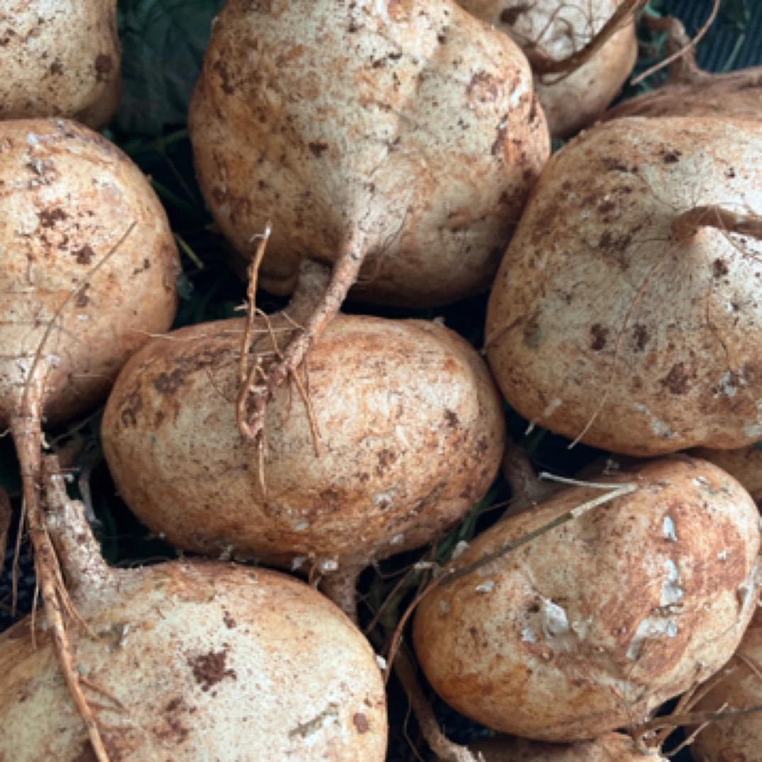 脆甜可口汁水超多土瓜