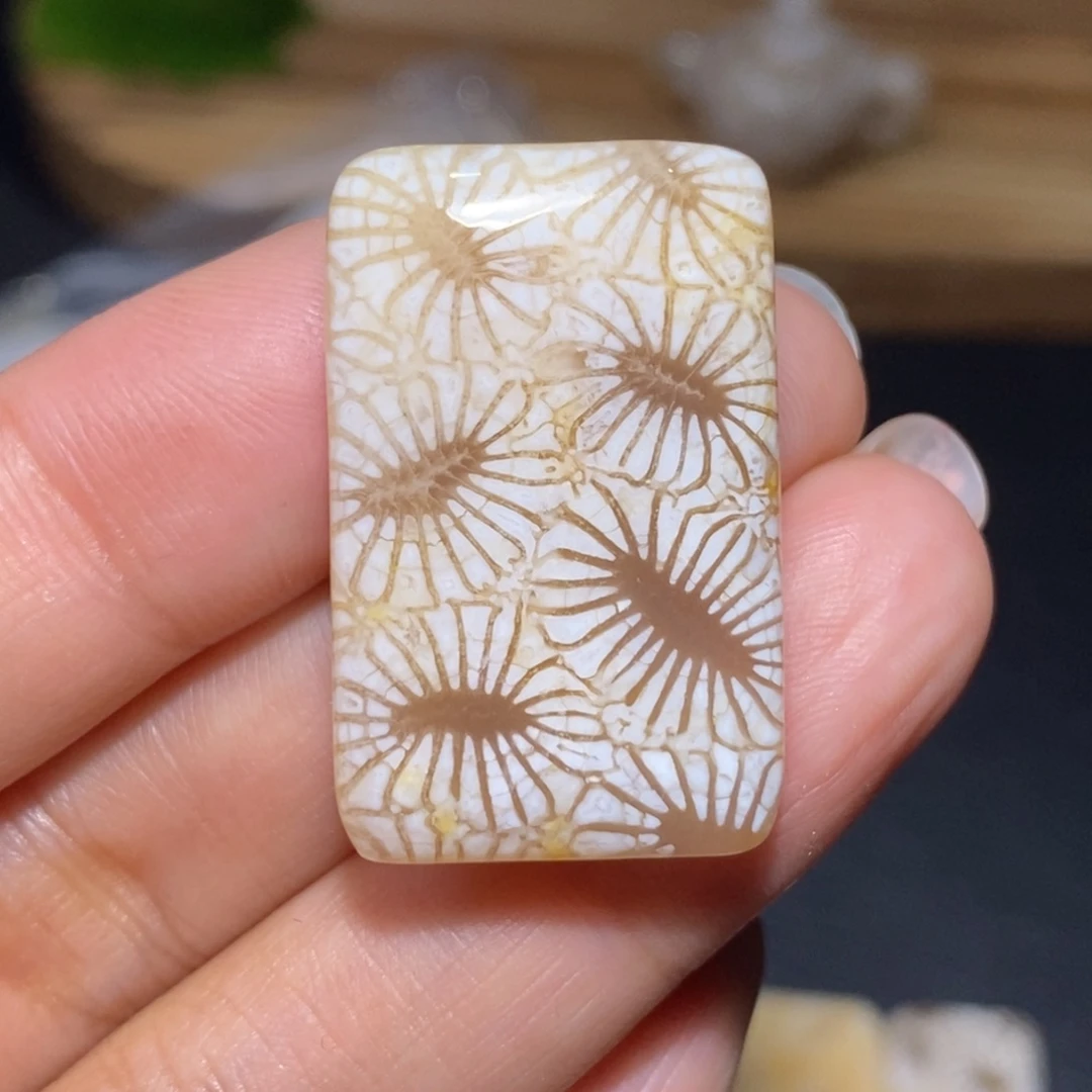 【闪购商品】硅化玉颈饰未镶嵌