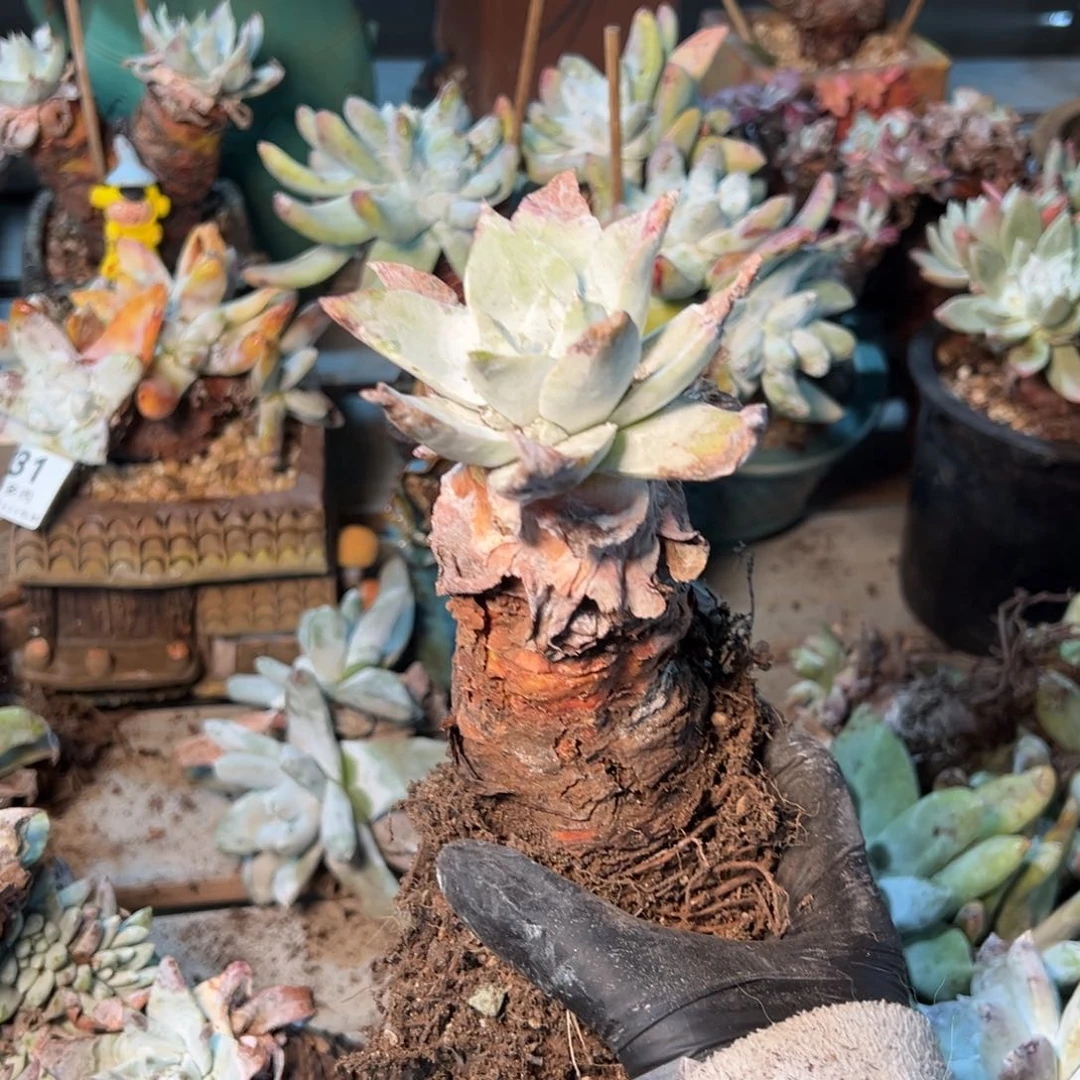 239哈哈哈哈哈哈哈哈