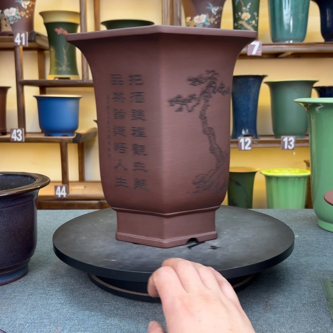 紫砂花盆兰花15585658668995