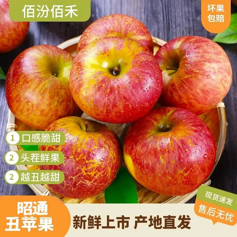 佰汾佰禾 云南新鲜采摘昭通丑苹果4.5-5斤装 脆甜多汁