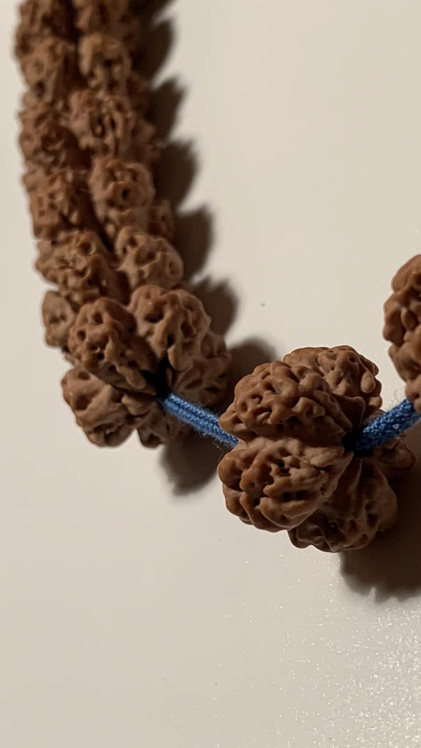 【花千骨】骨感梅花尼泊尔大金刚菩提手串