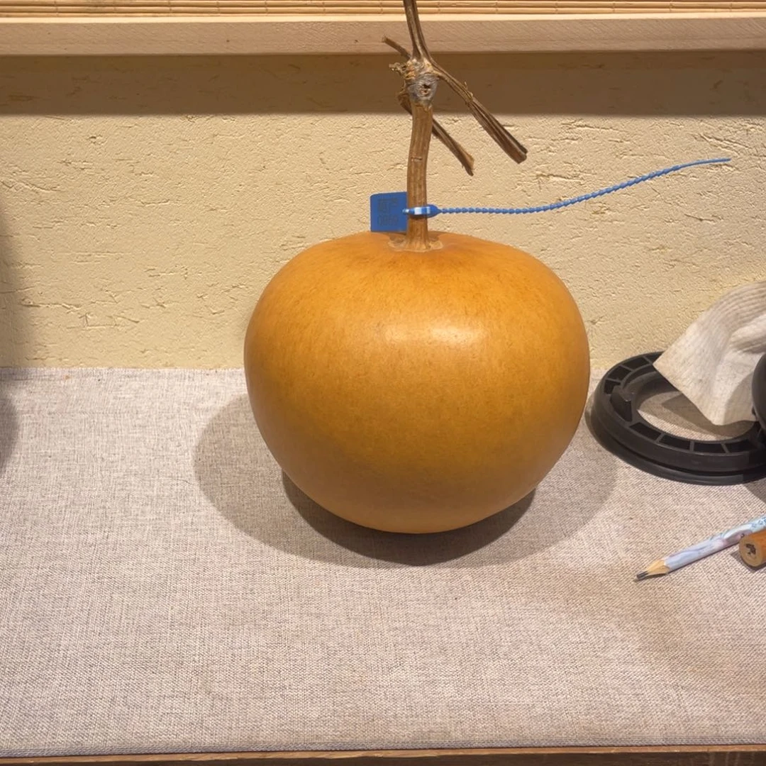 张***丽仿木不包邮不保龙头