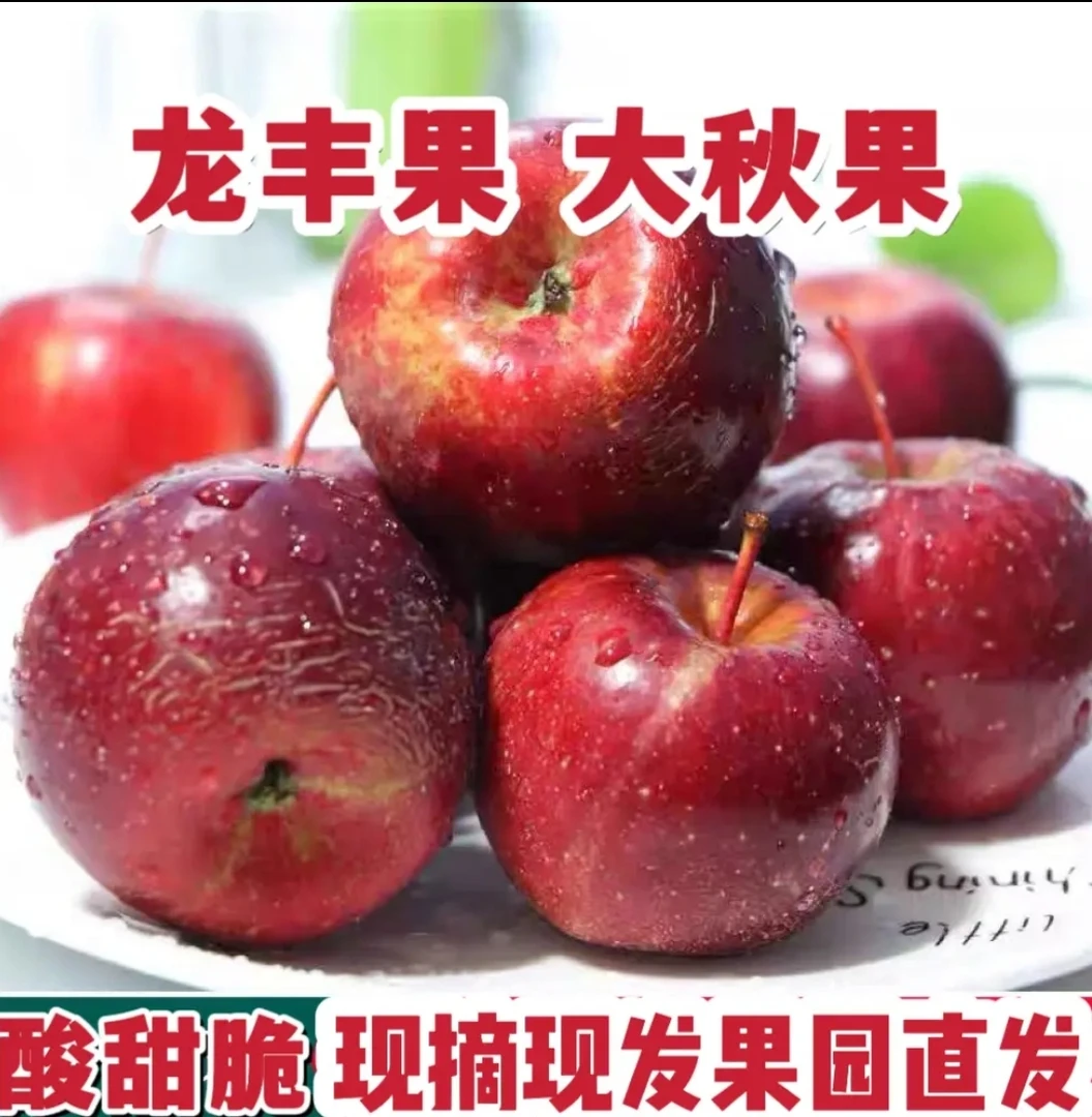 [特价龙丰果]东北特产大秋果海棠果酸甜新鲜采摘个大脆甜多汁包邮