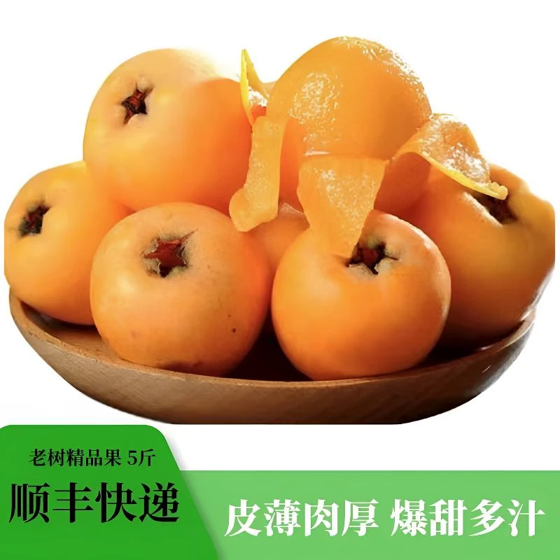 【顺丰快递】四川高山甜枇杷新鲜大果当季水果孕妇可食