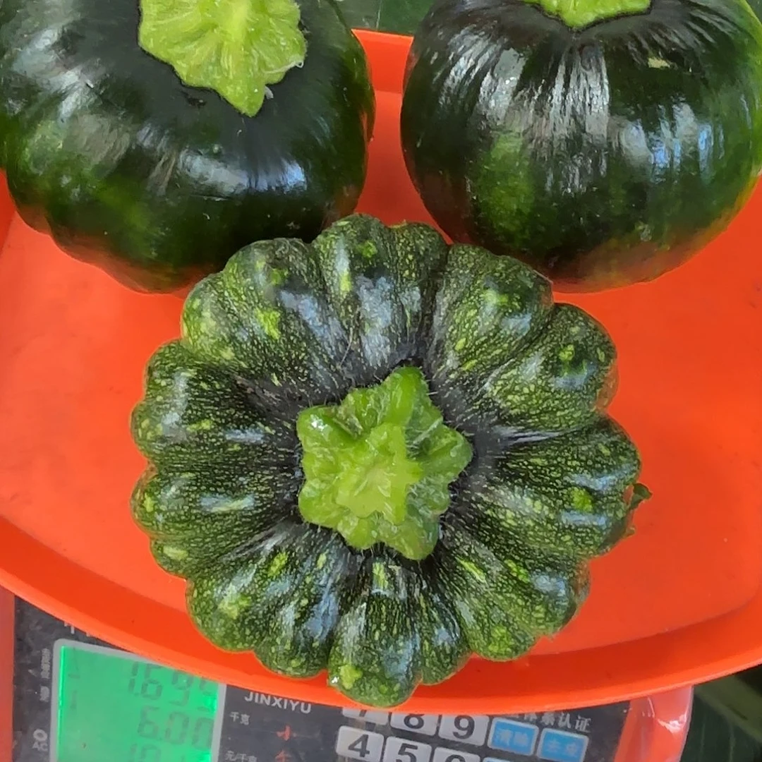 丫***头云南南华野生菌中国大陆