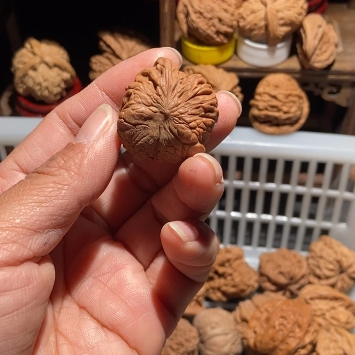 墨***～核桃磨盘蛇尺寸31全品