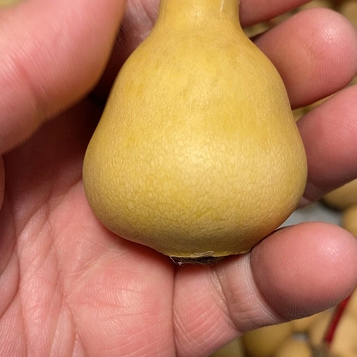 油**饼精品葫芦手把葫芦105