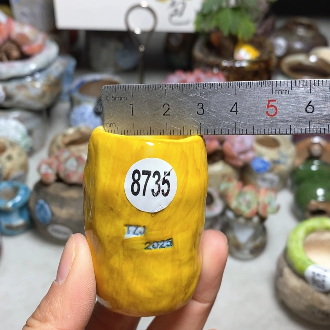 双12活动花盆不退不换原28