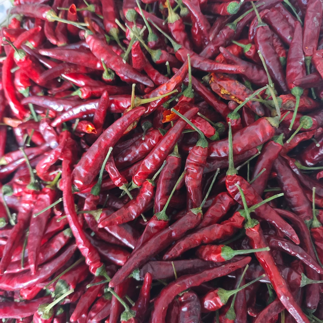 贵州烤箱火烤干辣椒香脆贵州干辣椒