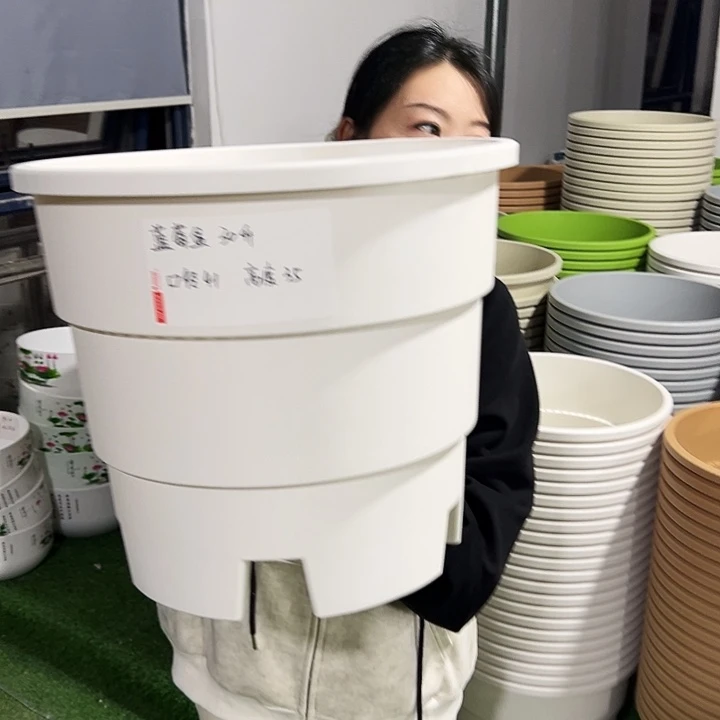 正品蓝莓盆口41高35白色3只无托