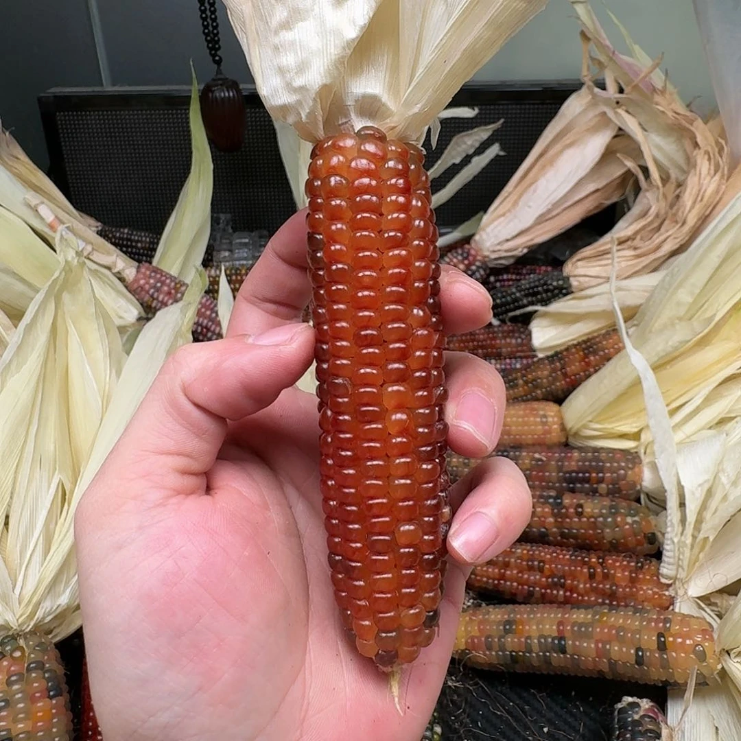 柏香籽/百香籽吊坠【****】