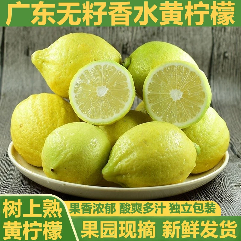 广东香水柠檬黄果无籽黄柠檬果园现摘新鲜批发包邮奶茶店专用水果