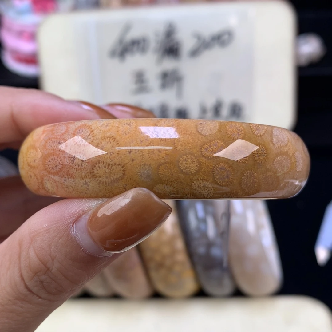 硅化珊瑚（珊瑚玉）未镶嵌颈饰五折精美手镯53.3口（21号）