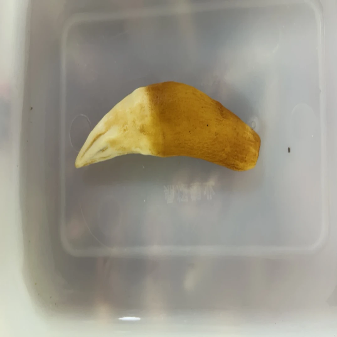 Q67特色手工艺木制品