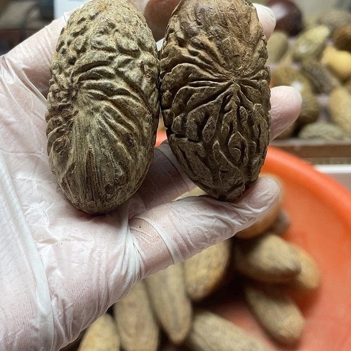 ****࿐吊坠千眼菩提千眼菩提刷果