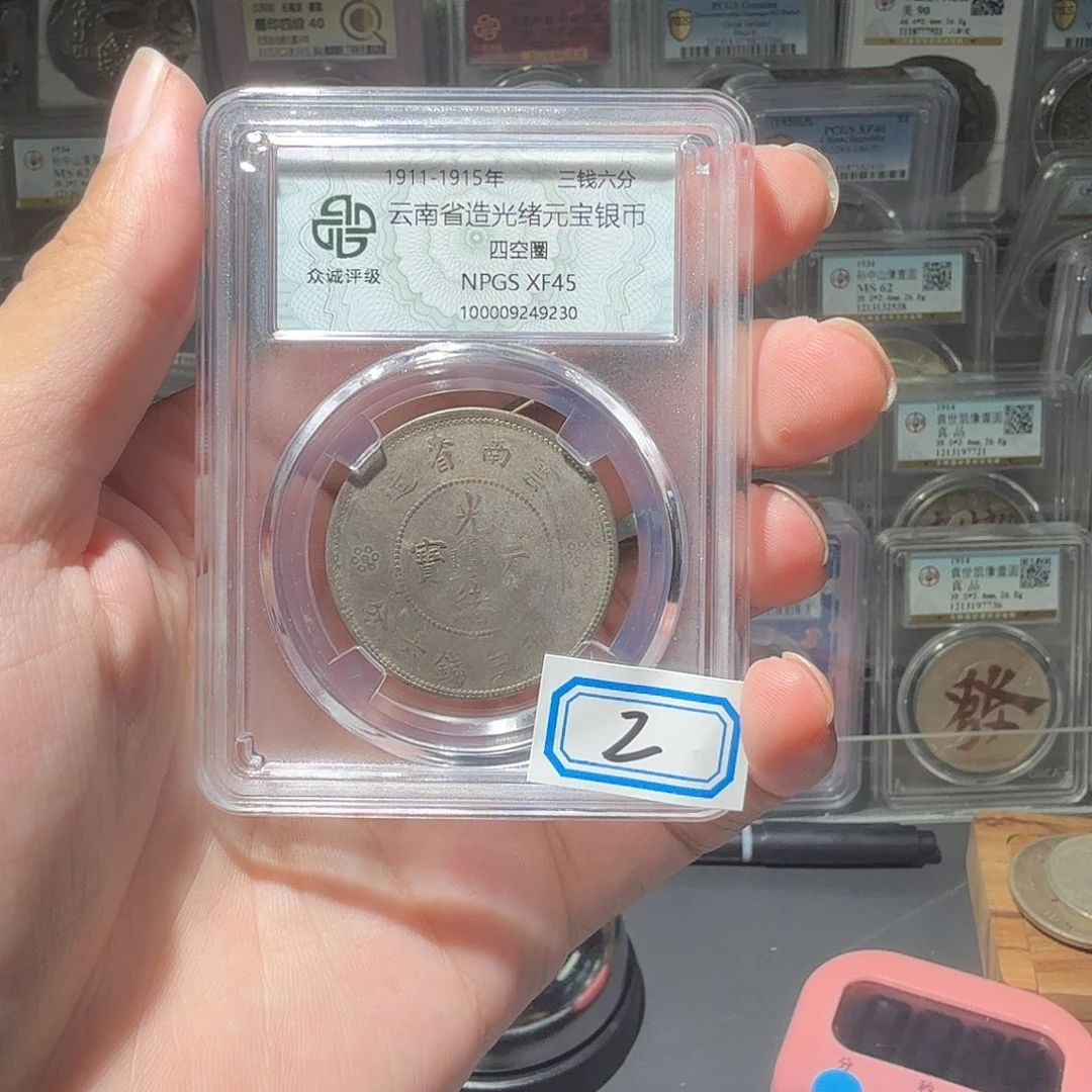 银！半圆龙一个小师妹2