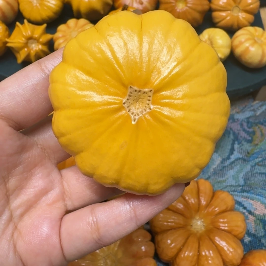 黄花微瑕接受可拍