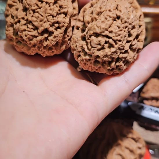 吊坠文玩核桃44金蝉