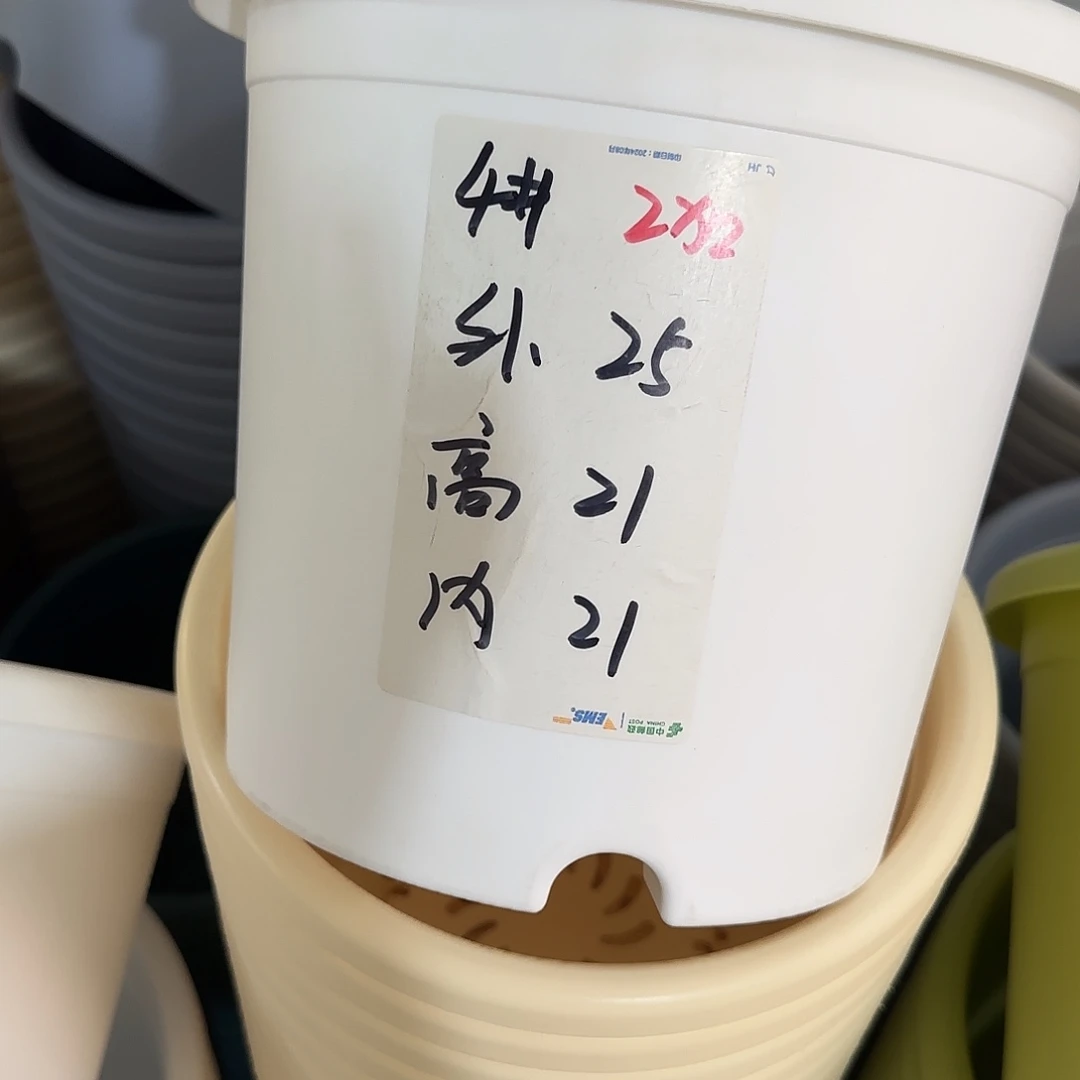 微瑕4号带托8个，白
