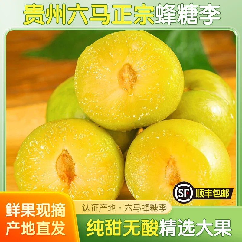 贵州镇宁六马蜂糖李李子【假一赔二十】贵州省