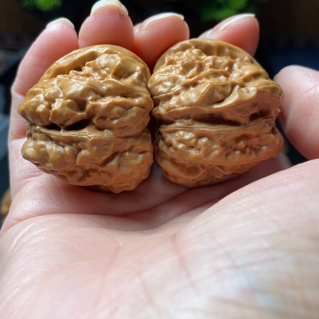 文玩核桃把件蛤蟆37