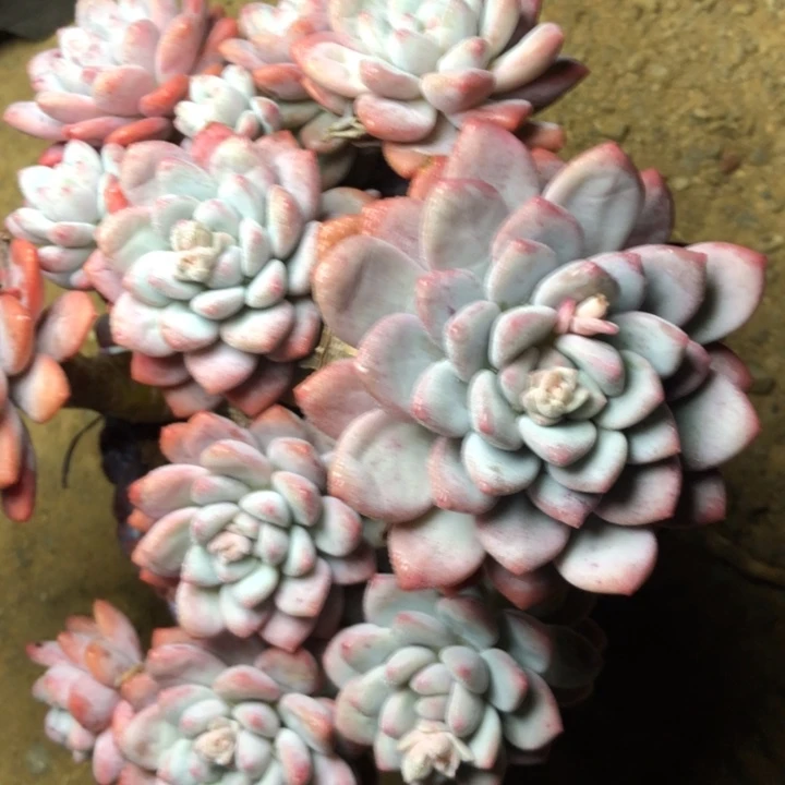 80///////////////////