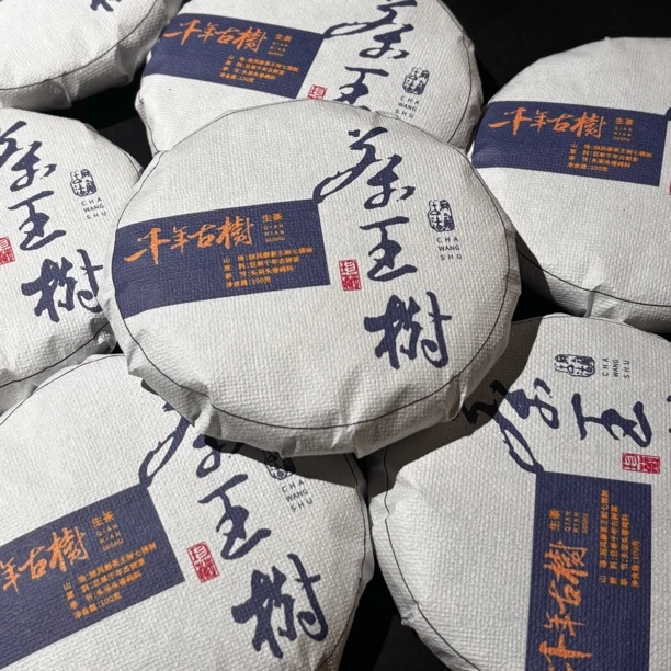 【山夫子说茶】2023年茶王树普洱生茶到手100克