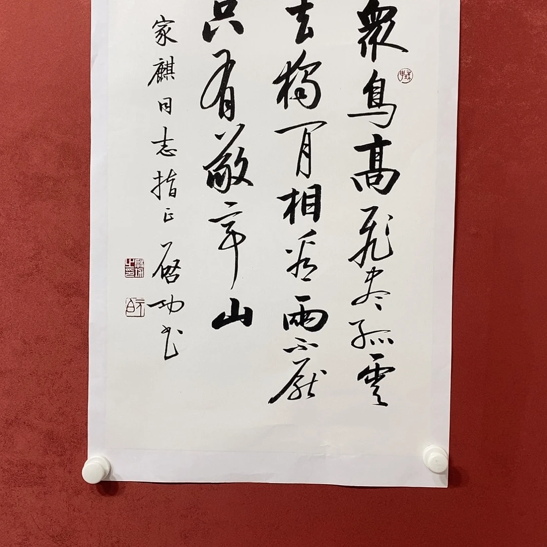 众鸟高飞进直播大漏