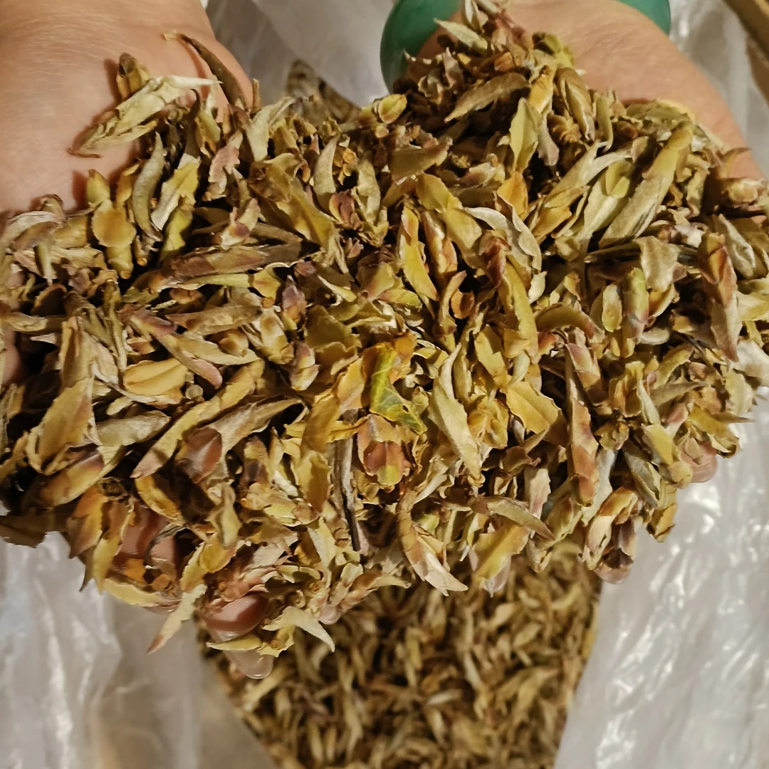 小雅山货推荐【雀嘴茶（大紫芽苞）】特产推荐