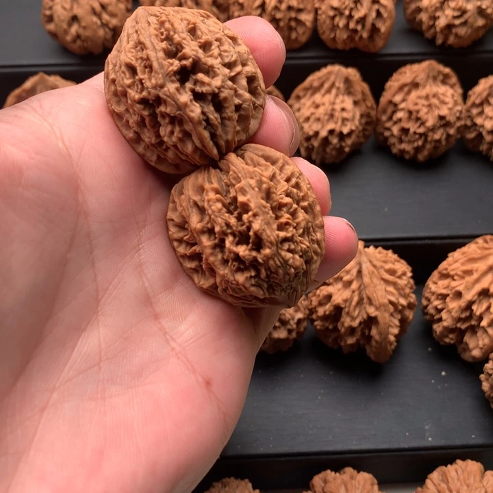 其他核桃秦岭森林公园等多处