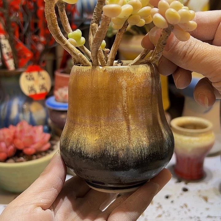 景德镇陶瓷2单包邮