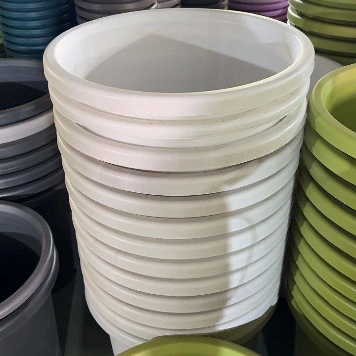 缺口55口径2个无托白色