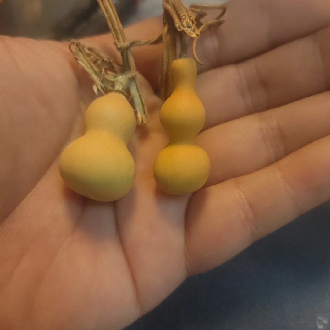 天然带龙头小葫芦文玩手把件可盘玩福禄葫芦