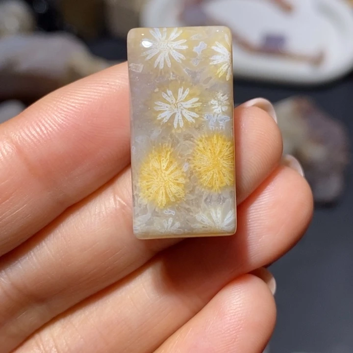 【闪购商品】未镶嵌珊瑚玉硅化玉