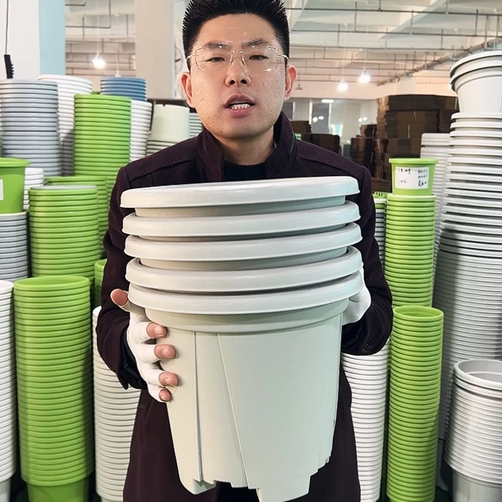 清仓青山口32高28灰白色5只无托