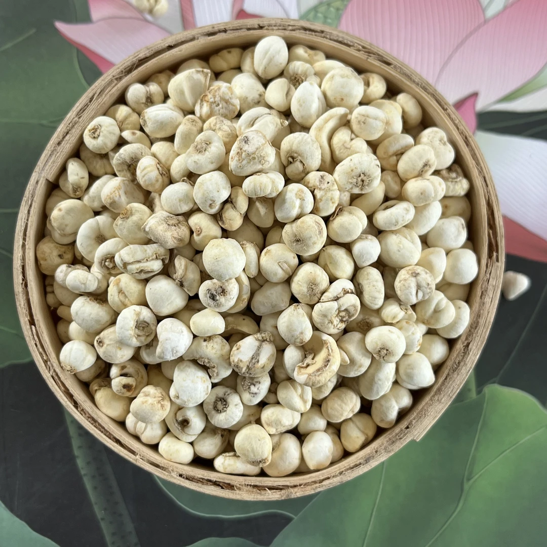 川贝母正宗野生川贝母