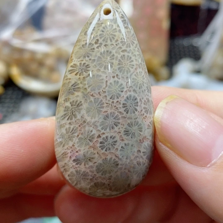 硅化珊瑚（珊瑚玉）颈饰未镶嵌