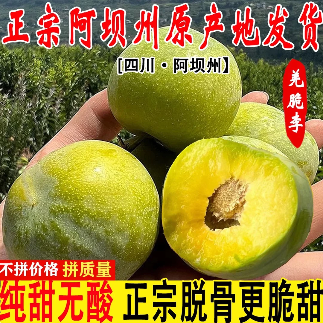 （京东顺丰）阿坝小王子汶川红脆李李子青脆李脱骨李3斤5斤10斤1斤