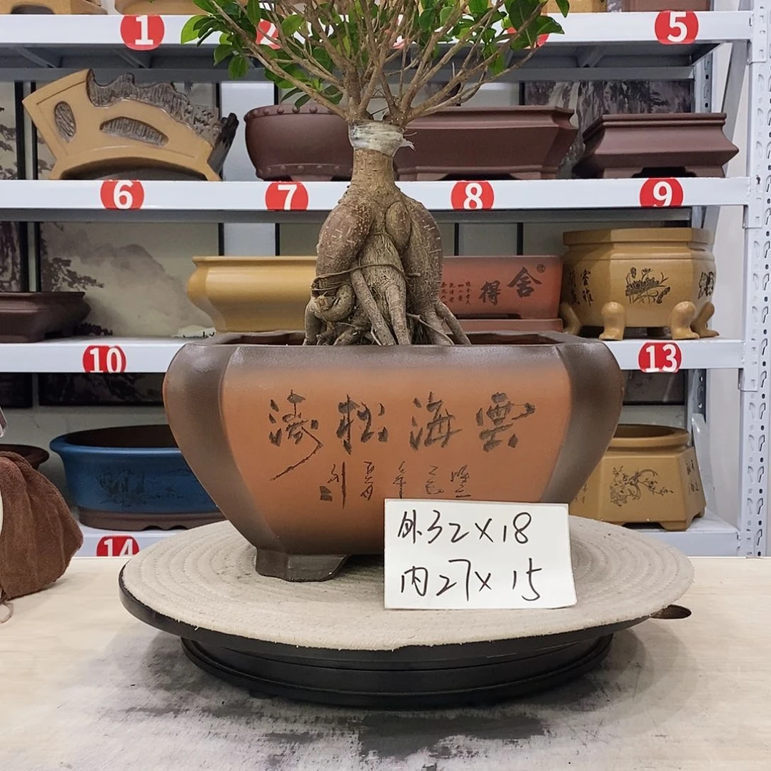 紫砂花盆紫砂花盆