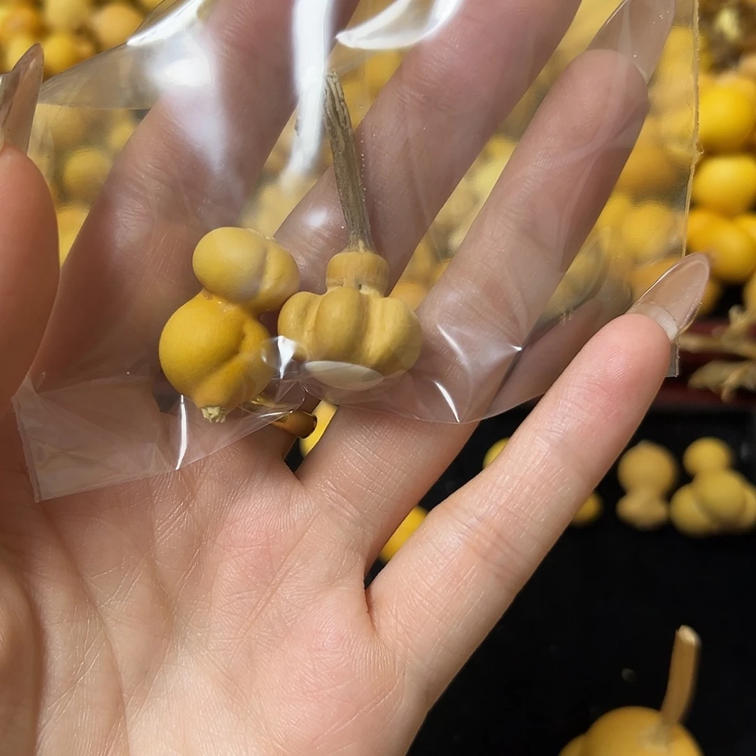 家*宝葫芦葫芦葫芦葫芦