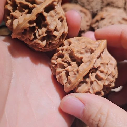 文玩核桃吊坠50帝王