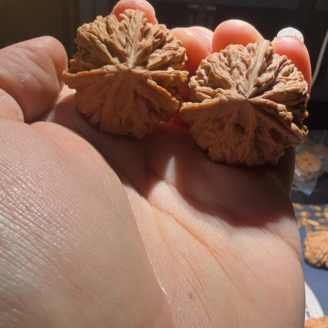 文玩核桃把件御龙正奔