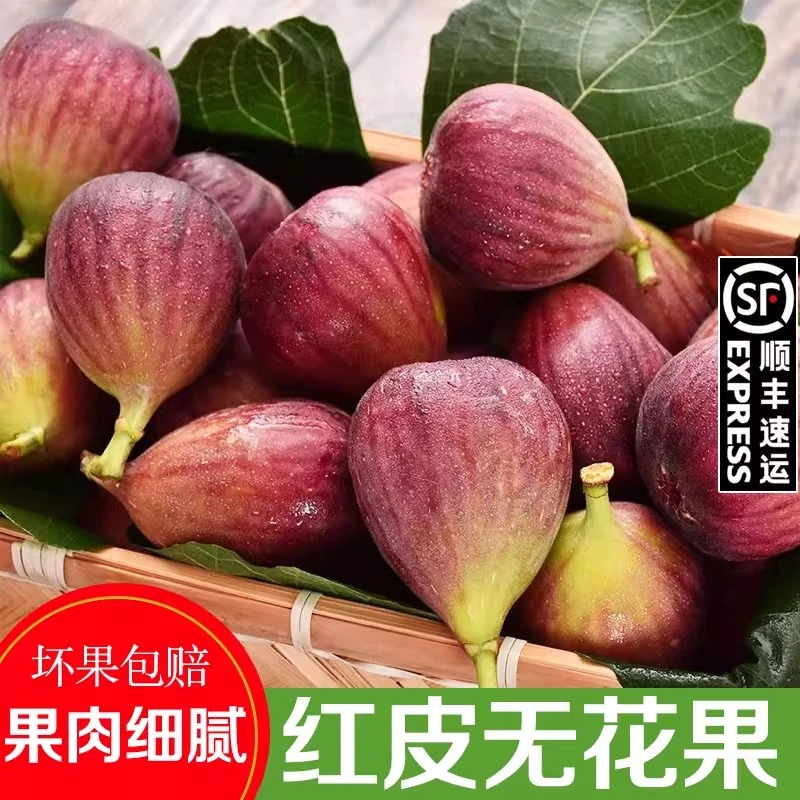【顺丰】四川红皮无花果鲜果新鲜天然水果青红皮大果孕妇现摘包邮