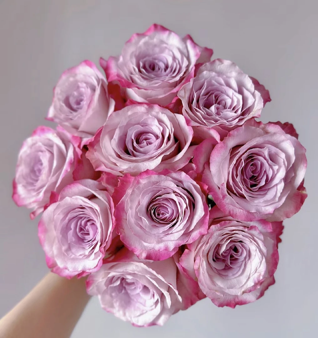 （曼）气场15支➕5支防损鲜花任意满两单包邮