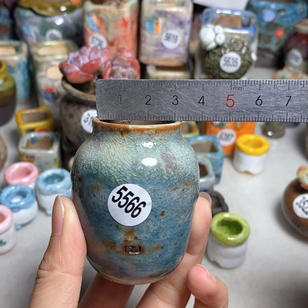 拍5送一个小礼物